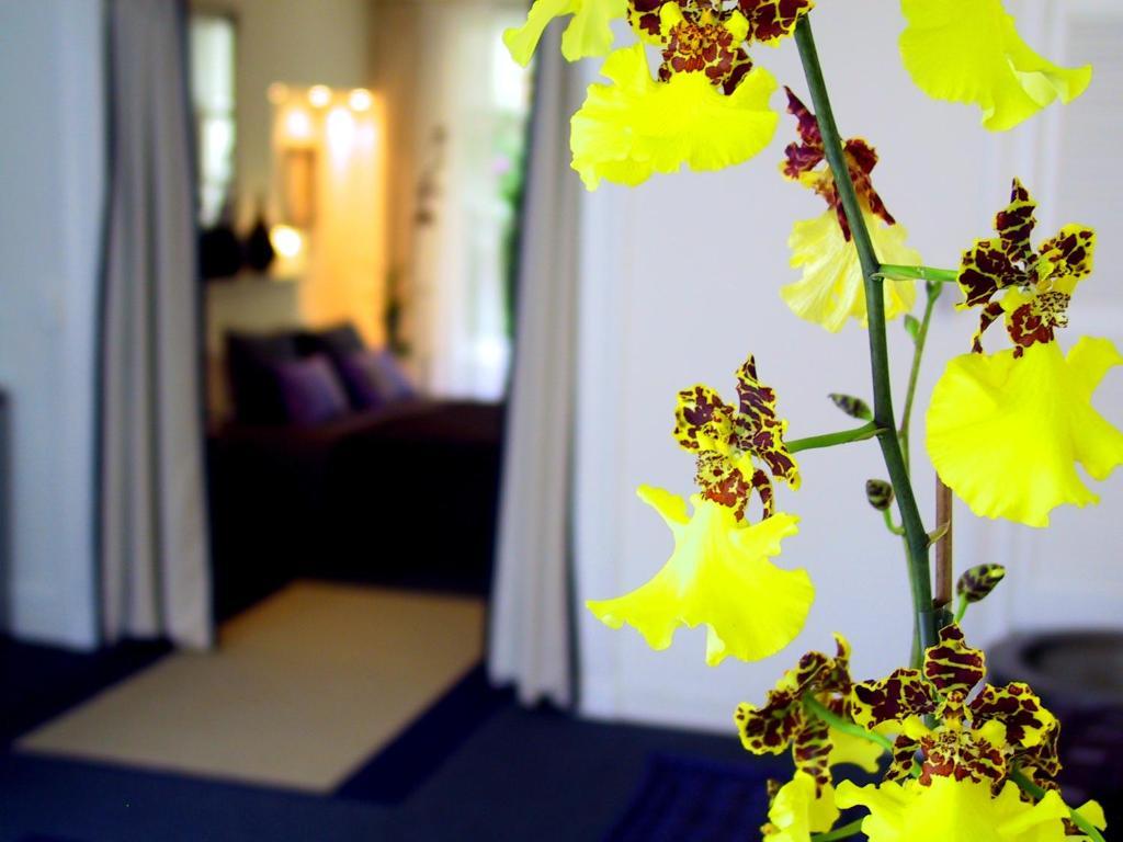 Palace B&B Amsterdam Bilik gambar